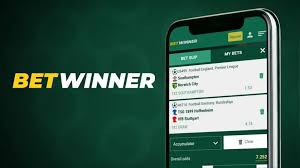 The Ultimate Guide to BetWinner Betting Platform
